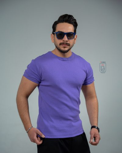 قیمت و خرید تیشرت مردانه فیتشرت پوآنو رنگ بنفش پاستیلی کد 30146 D202